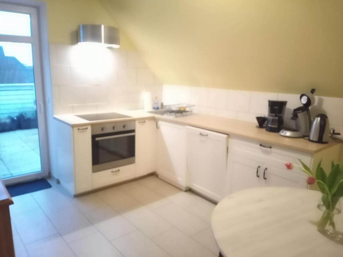 Strandrose فريادريتشسكوغ المظهر الخارجي الصورة