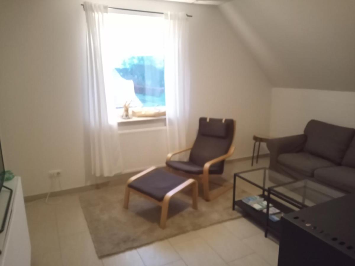 Strandrose فريادريتشسكوغ المظهر الخارجي الصورة