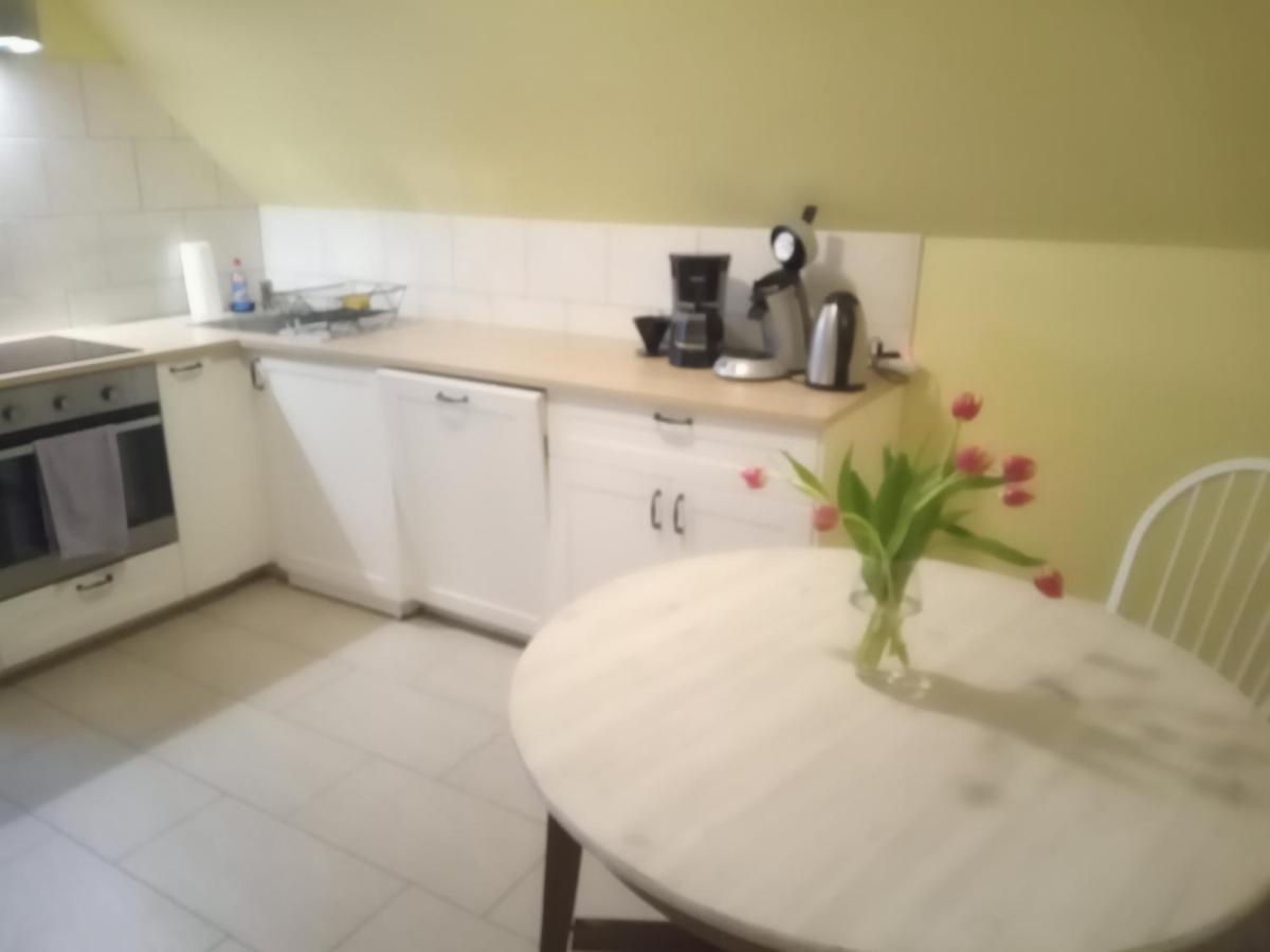 Strandrose فريادريتشسكوغ المظهر الخارجي الصورة