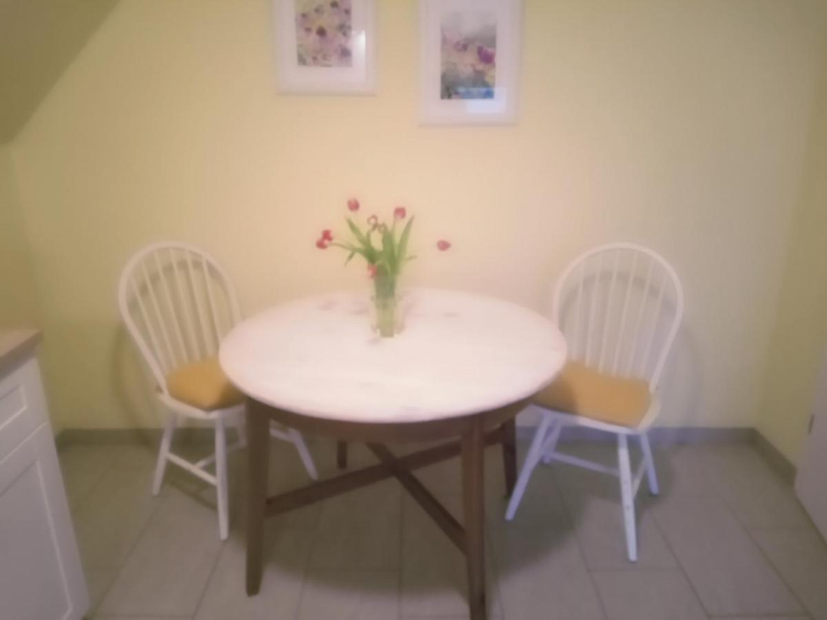 Strandrose فريادريتشسكوغ المظهر الخارجي الصورة