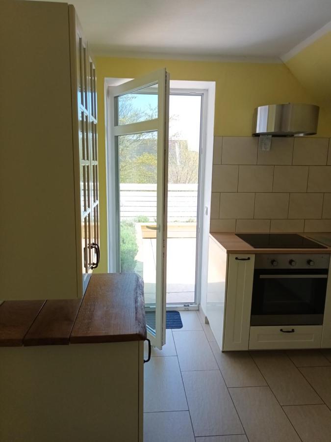 Strandrose فريادريتشسكوغ المظهر الخارجي الصورة