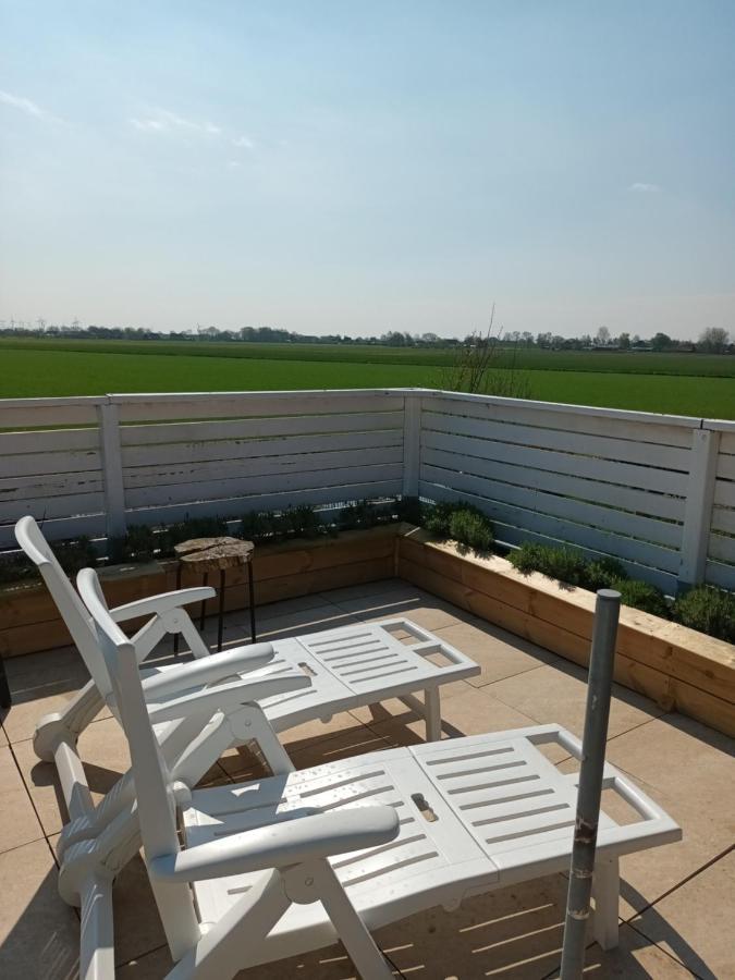 Strandrose فريادريتشسكوغ المظهر الخارجي الصورة