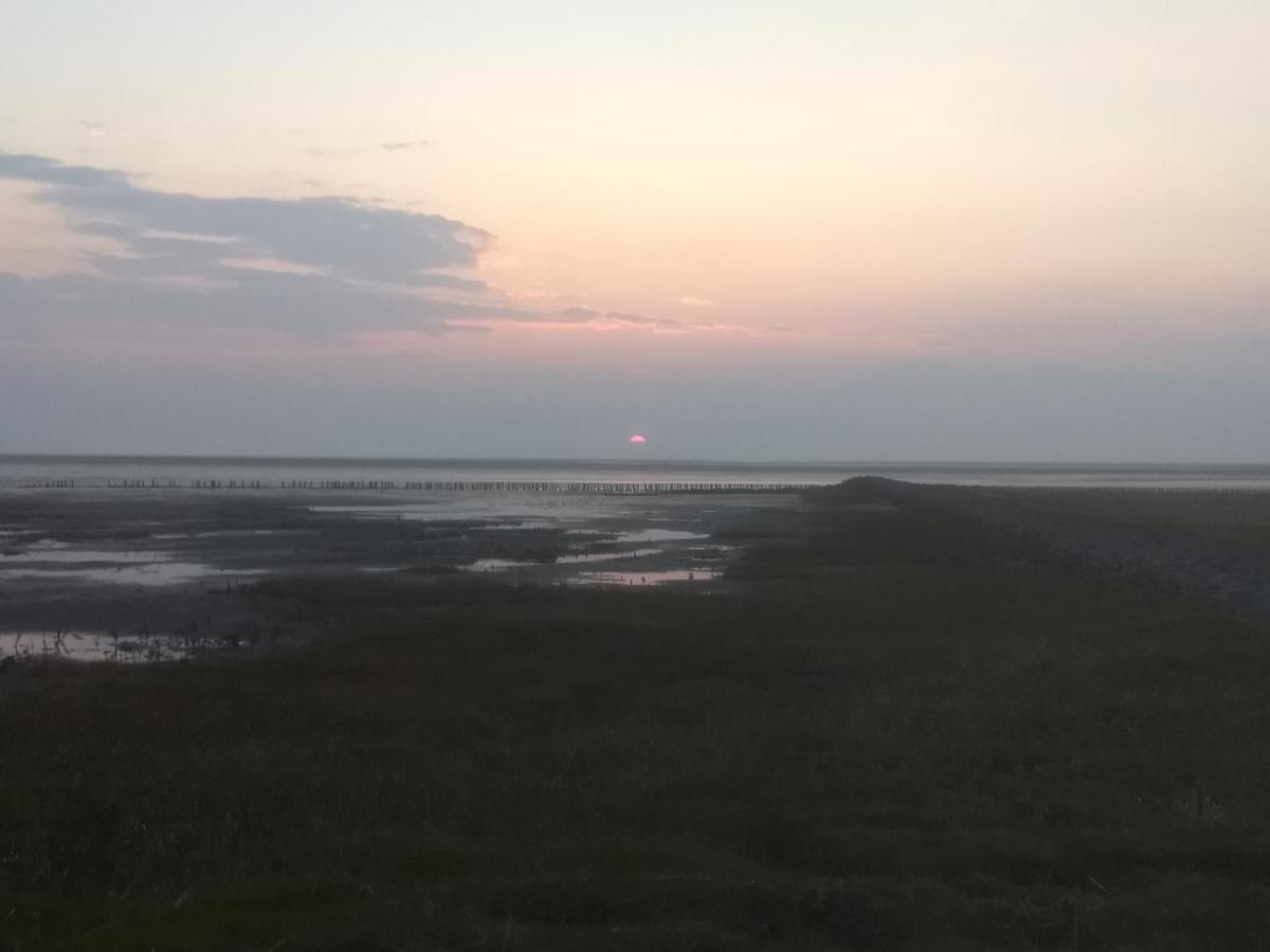Strandrose فريادريتشسكوغ المظهر الخارجي الصورة